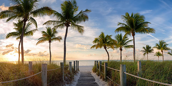 A sandy pathway flanked by palm trees leads to a sandy beach