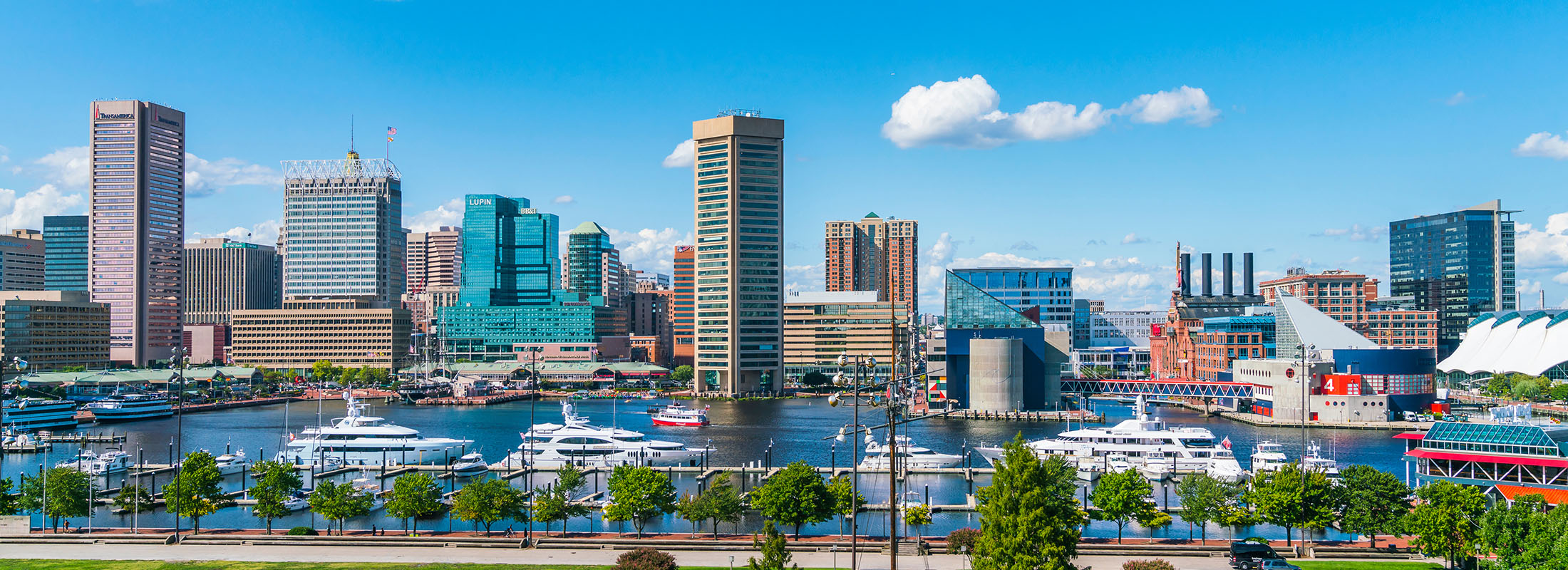 baltimore-skyline-on-a-sunny-day
